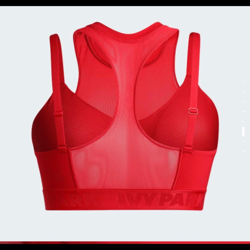 NEW! Ivy Park Sheer Top Sports Bra